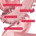 Shop Mirabella 4-Piece Makeup Set - Illuminizing Holiday Gift for Women & Girls | Talc-Free Paraben-Free | Lip Gloss Glow Drops & More - Buy Online on SooperMarket.com