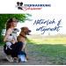 Schwenner-Short Beef's Head for Dogs - 2500g Dried Dental Dog Snacks | Quality Pet Food & Care - Buy Online on SooperMarket.com