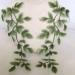 Mirror Pair Green Forest Leaves Applique Lace Vine Motif Trims Embroidery Wood Patches