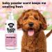 BuddyCare Baby Fresh Dog Shampoo - 3 x 500ml | Puppy Shampoo with Aloe Vera & Provitamin B5 for Dogs 8 Weeks & Older - Fragrant Baby Powder Formula - Buy Online on SooperMarket.com