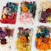 Pressed Dried Flowers Kit with Tweezers - Colorful Real Dried Flowers for Resin Jewelry DIY - Buy Online on SooperMarket.com