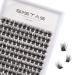 Individual Lashes Cluster Lashes D Curl 120 Cluster 14mm DIY Eyelash Extension False Lashes Individual Natural&Mega Styles Soft for Personal Makeup Use at Home (08-14mm) W08# (14mm)