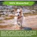 MC -Royal Tick Collar for Small Dogs & Cats | Waterproof Adjustable 8 Months Protection | 100% Natural Ingredients - Buy Online on SooperMarket.com
