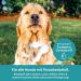 Petshero Dog Shampoo for Mites Fleas & Ticks | 250ml - Puppy Safe Pleasant Fragrance Dermatest Approved - Buy Online on SooperMarket.com