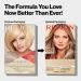 Revlon Permanent Hair Color Dye Kit - Ammonia & Paraben Free, Blonde 20, 8 Oz (1 Pack) - Buy Online on SooperMarket.com
