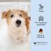 Buy Belly Nourishing Dog Shampoo - Perfect Puppy Shampoo with Keratin & Green Tea | 250ml for Long-Haired Dogs - Fresh Scent & Nourishing Care - Buy Online on SooperMarket.com