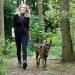 Buy Lionto Adjustable Dog Leash - Multifunctional Weatherproof 200 cm Red | Perfect for Medium Dogs - Shop Internationally! - Buy Online on SooperMarket.com