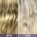 Framesi Color Lover Dynamic Blonde Purple Shampoo - Sulfate Free for Color Treated Hair, 16.9 Fl Oz - Buy Online on SooperMarket.com