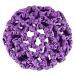 Dance pattern Ballet Duttnetz - Clara - with rubber band - purple - for the perfect hold of the ballet Dutts - node network - hair network for children violet 1 piece (1 Pack)