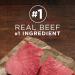 Purina ONE Smartblend Wet Dog Food Lamb & Brown Rice Entr e Tender Cuts + Purina ONE True Instinct Beef & Salmon (Brown) - Buy Online on SooperMarket.com