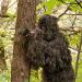 VIVO Ghillie Suit - Adult/Youth Sizes, Dry Grass/Leaf/Woodland Camo, XL/XXL - Woodland Design - Buy Online on SooperMarket.com