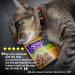 Wellness Grain-Free Wet Cat Food Pouches - Chicken & Turkey, Shredded Protein in Gravy, 24-Pack - Natural, Adult, 3 oz - Buy Online on SooperMarket.com