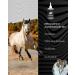 HOOFGOLD BlueStuff - 100ml Hoof Care for Horses | Quick Thrush Remedy | International Shipping - Buy Online on SooperMarket.com