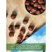 Oregon Hazelnuts (Filberts) - Raw & Unsalted | JUMBO SIZE | Steam Pasteurized, NON-GMO | No Shell, Just Kernels | 4 LB Resealable Bags - Buy Online on SooperMarket.com