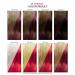 Adore Vegan & Cruelty-Free Hair Dye - 068 Crimson 4 Fl Oz (Pack of 2) - Buy Online on SooperMarket.com