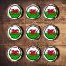 48 Welsh Dragon Cupcake Toppers Edible Welsh Flag Cupcake Decorations St Davids Day Decorations Rugby Cake Decorations Dragon Cake Topper Rugby Cake Topper Daffodil Decorations Welsh Bunting - Buy Online on SooperMarket.com