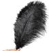 Soarer Black Ostrich Feathers Bulk - 30pcs 8-10 inch for Wedding Party Centerpieces & Home Decor - DIY Crafts (Black) - Buy Online on SooperMarket.com