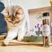 Buy Ne & No Gift Set with Natural Matatabi Sticks | 24 Dental Care Cat Sticks | Perfect Treats for Cats | International Shipping - Buy Online on SooperMarket.com