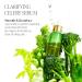 Byroe Exfoliating AHA Serum - Gentle Celery Resurfacing Serum for Acne-Prone Skin | Pore Minimizer with Vitamin 12 Complex & LHA | Vegan 30 ML - Shop Internationally - Buy Online on SooperMarket.com