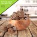 Raw Brazil Nuts In Shell - Whole Superior Quality (5 LB) - Fresh & Healthy Protein Snack - All Natural Keto Friendly & Vegan - 5 Pound Resealable Bulk Pack - Buy Online on SooperMarket.com