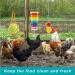 Woiworco Chicken Coop Accessories: 7 Pack Chicken Toys - Xylophone, Swing, Mirror, Pecking, Vegetable Feeder & More - Buy Online on SooperMarket.com