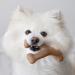 Benebone Wishbone Real Peanuts Small - Durable Dog Chew Toy for Aggressive Chewers | International Shipping Available - Buy Online on SooperMarket.com