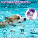 Dog Repellent Treatment Dog Repellent Collars Adjustable Small-Medium-Large Dog Repellent Collar Natural Repellent Collar for Dogs Waterproof Reflective Dog Repellent (Single Pack Purple) Single Pack Dog Purple - Buy Online on SooperMarket.com