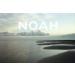 Noah Hair 1.5 Purifying Shampoo - Organic Green Tea & Basil Shampoo | Natural Dandruff Solution | 8.5 fl. oz - Buy Online on SooperMarket.com