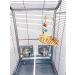 Birds LOVE TigerTail Tabletop Play Gym for Small Corner Cage - Free Parrot Toy Included! - Buy Online on SooperMarket.com