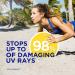 Coppertone SPORT Sunscreen Spray SPF 50 - Water Resistant Bulk Pack - 5.5 Oz, Pack of 3 - Buy Online on SooperMarket.com