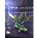 toyuto Aquarium Fish Tank Acrylic Divider 5.5/10/29/30/40/55/75/120 Gallon Isolation Board with Suction Cups 10 gallon