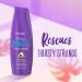 Aussie Miracle Moist Shampoo & Conditioner 26.2 Fl Oz (Pack of 2) - Hydrating Hair Care Set - Buy Online on SooperMarket.com