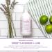 Sapadilla Liquid Hand Soap Variety Pack - 100% Pure Essential Oil Blends - Plant Based and Biodegradable - 12oz (Pack of 3) - Buy Online on SooperMarket.com