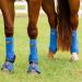 Professional's Choice 2XCOOL Sport Medical Boots - 4-Pack in Royal Blue | Enhance Recovery & Comfort - Shop Now! - Buy Online on SooperMarket.com
