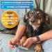 Buy Bluepet 2x Set Claw File Nail File for Optimal Pet Claw Care | Coarse & Fine for Dogs Cats & Small Animals - Buy Online on SooperMarket.com