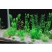 Artificial Aquarium Plants 20 Pack - Green Fish Tank Decorations by MyLifeUNIT - Buy Online on SooperMarket.com