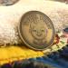 Diaper Changing Decision Making Coin for Expecting Parents | Fun Parenthood Celebration Gift - Buy Online on SooperMarket.com