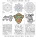 Adult Coloring Books Set - 120 Unique Designs for Grownups - Animals, Scenery, Mandalas. Perfect for Adults Relaxation - Buy Online on SooperMarket.com