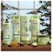 Suave Professionals Shampoo with Avocado + Olive Oil | 12.6 oz - Nourishing Hair Care for all Hair Types | International Shipping Available - Buy Online on SooperMarket.com