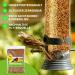 Premium 1kg Dried Mealworms - High Protein Flourworms for Reptiles Birds Fish & More | International Shipping Available - Buy Online on SooperMarket.com