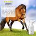 C&G Pets Horse Anti Bacterial Anti fungal Antiviral Purple Wound Spray 500 ML 500 ml (Pack of 1) - Buy Online on SooperMarket.com