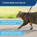 PetSafe Come with Me Kitty Harness & Bungee Leash for Cats - Lilac/Light Purple - Small - Comfortable Safe and Adjustable Hiking Gear - Buy Online on SooperMarket.com