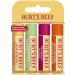 Burt's Bees 100% Natural Lip Balm 4-Pack & Intensive Night Care Bundle - Moisturizing Lip Care for Soft Lips - Buy Online on SooperMarket.com