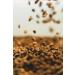 Delta Caf s Superior Coffee Beans - Premium 1 kg Coffee Set for International Shipping - Buy Online on SooperMarket.com