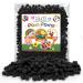 Caydo 500 Pieces 1cm Black Pom Poms  Mini Craft Pom Poms Balls for Kids DIY Art Creative Crafts Projects Decorations