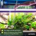 VORESTIC Aquarium Tweezers Long Straight 60 cm Aquascaping Extra Long Tweezers Large - Buy Online on SooperMarket.com