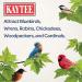 Kaytee Mealworm Food Pouch 17.6 oz - Premium Bird Food for Healthy Mealworms - Buy Online on SooperMarket.com
