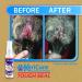 KeriCure Tough Seal Liquid Bandage and Hot Spot Spray Combo 2 Pack Small Animal Dog Cat Pet Spray on Liquid Bandage and Soothing Hot Spot Gel Spray Each 2oz Spray Bottles Soothe Protect & Heal - Buy Online on SooperMarket.com