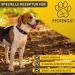 Pfotengut Vitamin B Complex for Dogs & Cats - 120 Tablets Made in Germany High-Dose B Vitamins for Optimal Health - Supports Energy & Vitality - Buy Online on SooperMarket.com
