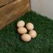 MEEXPAWS Chicken Nesting Box Pads 12x12 - Artificial Grass, Sturdy & Washable - 2 Count - Buy Online on SooperMarket.com